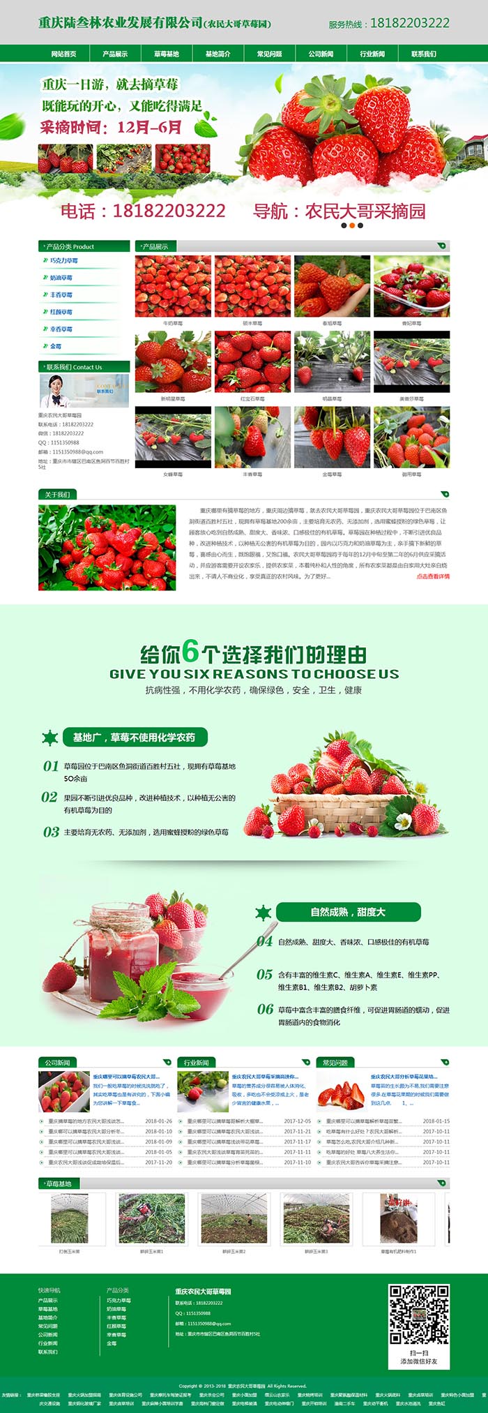 重庆农民大哥草莓网站建设案例